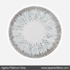Platinum Grey