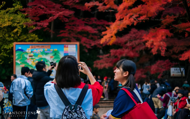 tips liburan hemat ke jepang