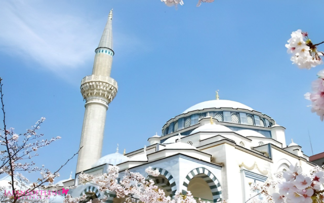 panduan wisata untuk turis muslim di Jepang