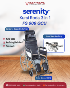 Kursi Roda 3 in 1 FS 609 GCU